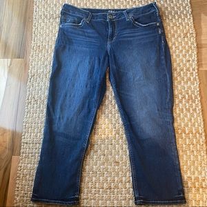 Like New Silver Suki Capris - Size 31